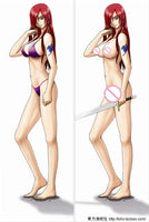 Fairy Tail Dakimakura